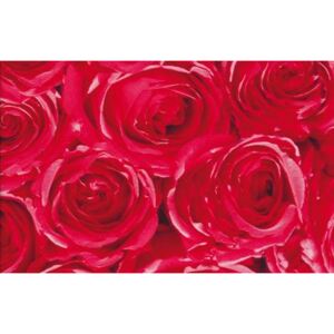 Samolepící tapety růže červené 12679, rozměr 45 cm x 15 m, GEKKOFIX