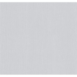 Vliesové tapety na zeď G.M. Kretschmer 02467-30, stěrka šedá, rozměr 10,05 m x 0,53 m, P+S International
