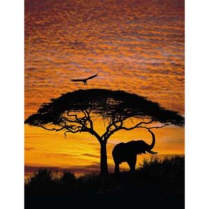Fototapeta Afrika, rozměr 194 cm x 270 cm, fototapety Komar 4-501