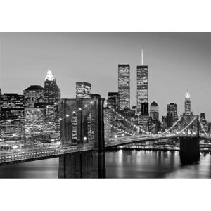 Fototapeta Manhattan Skyline At Night, rozměr 366 cm x 254 cm, fototapety 00957, W+G