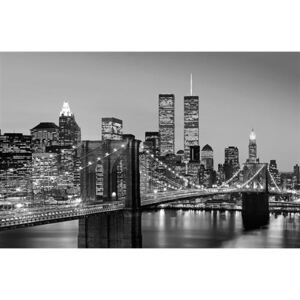 Fototapeta Manhattan Skyline at Night, rozměr 175 cm x 115 cm, fototapety W+G 625