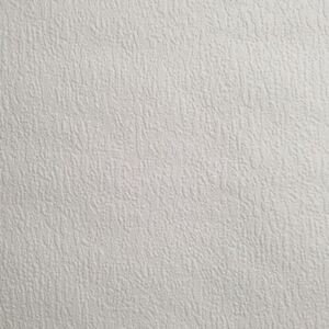Papírové tapety na zeď 05931-10, rozměr 10,05 m x 0,53 m, omítkovina sněhově bílá, P+S International