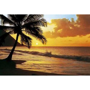 Fototapeta Pacific Sunset, rozměr 366 cm x 254 cm, fototapety W+G 218