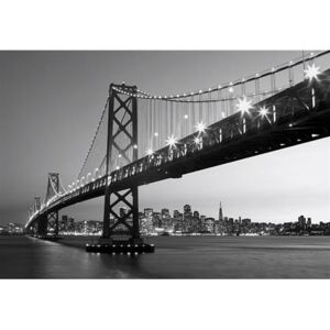Fototapeta San Francisco Skyline, rozměr 366 cm x 254 cm, fototapety 00958, W+G
