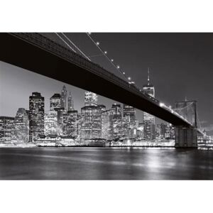 Fototapeta Brooklyn Bridge NY, rozměr 366 cm x 254 cm, fototapety W+G 140