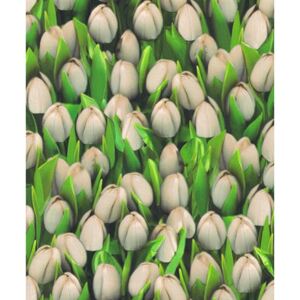 Vinylové tapety na zeď Allure tulipány bílé 416709, rozměr 10,05 m x 0,53 m, IMPOL TRADE