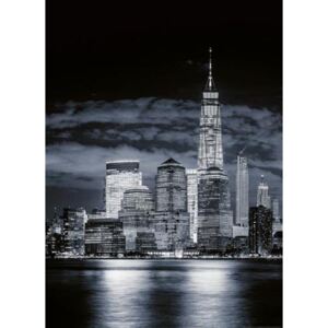 Fototapety, rozměr 184 cm x 254 cm, panorama Manhattanu, W+G 5108-2P-1