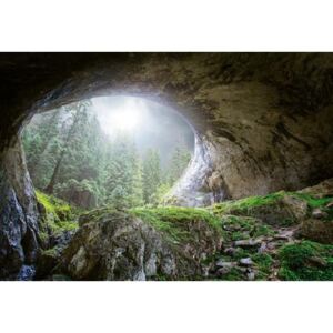 Fototapety, rozměr 368 cm x 254 cm, jeskyně v lese, W+G 5078-4P-1