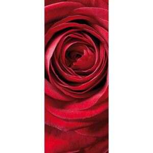 Vliesové fototapety, rozměr 92 cm x 220 cm, růže, Sunny Decor SD1010
