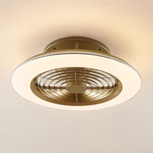 Arcchio Fenio LED stropní ventilátor, světlo zlatá