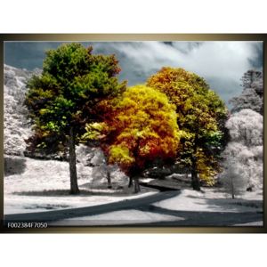 Obraz tří zbarvených stromů (F002384F7050)