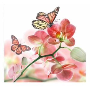 Vliesové fototapety na zeď Motýli a orchideje | MS-3-0146 | 225x250 cm