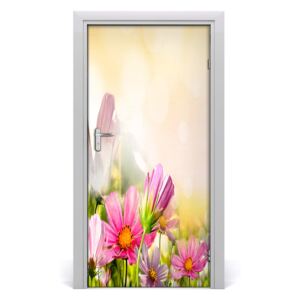 Fototapeta na dveře Polní květiny