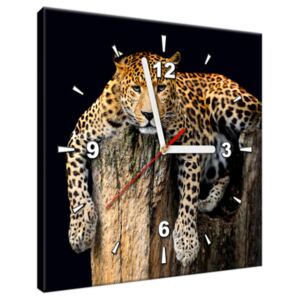 Tištěný obraz s hodinami Odpočinek leoparda ZP2344A_1AI