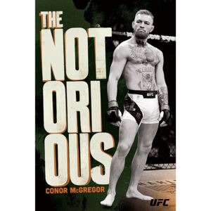 Plakát, Obraz - UFC: Conor McGregor - Stance, (61 x 91,5 cm)