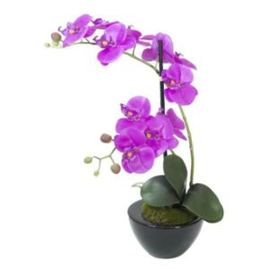 Orchidej fialová v dekoračním květináči, 11 květů, 45 cm - MAXINAKUP.cz