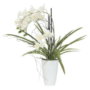 Orchidej bílá v dekoračním květináči, 24 květů, 70 cm - MAXINAKUP.cz