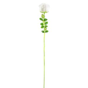 Růže bílá, krystalická 81cm, 12ks - MAXINAKUP.cz