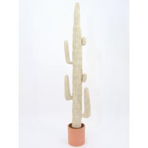 Mexický kaktus bílý, 228 cm - MAXINAKUP.cz