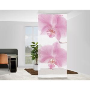 Design paraván - Orchidej
