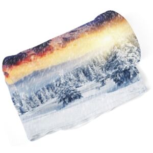 IMPAR Fleecová deka Zasněžená krajina 150x120 cm (Rozměr : 200 x 140 cm)