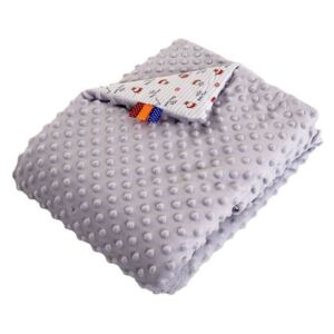 Mikroflanelová deka pro děti Minki Grey 75x100