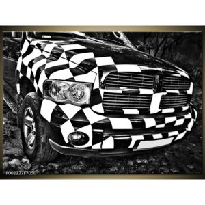 Obraz černobílého auta (F002227F7050)