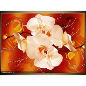 Obraz bílých orchidejí (F005694F7050)