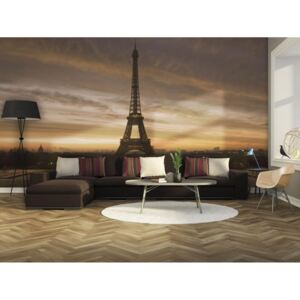 Murando DeLuxe Fototapeta na stěnu - Eiffelova věž 400x309 cm