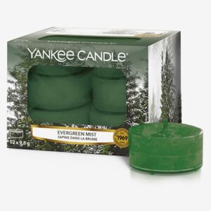 Vonné čajové svíčky Yankee Candle Evergreen Mist