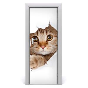 Samolepící fototapeta na dveře Kočka