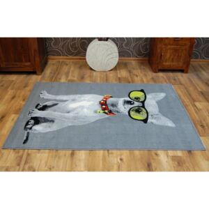 Dětský koberec CRAZY DOG - šedý