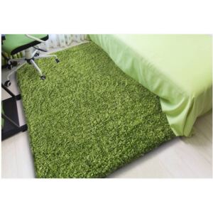 Moderní kusový koberec SHAGGY COLOR - zelený