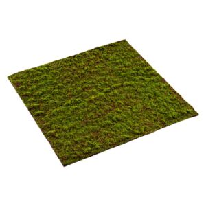 Umělý mech Grimmia, 100 x 100cm