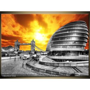 Obraz šedobílého Londýna (F002441F7050)