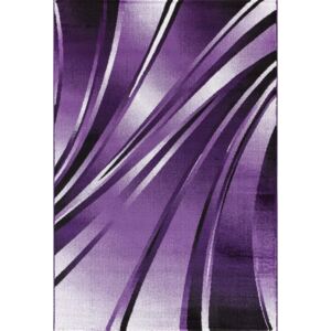 Moderní kusový koberec Parma 9210 fialový Typ: 80x150 cm