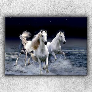 Divocí koně 1 (70 x 50 cm) - Jednodílný obraz