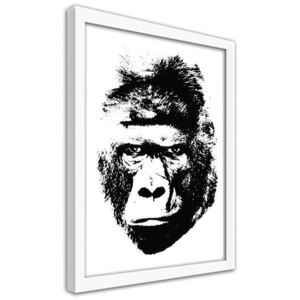 CARO Obraz v rámu - Illustration Of A Gorilla 30x40 cm Bílá