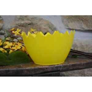 Cerino Květináč plast-obal skořápka 15cm, žlutá