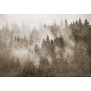 Fototapeta GLIX - Forest in the Mist Textured in Sepia + lepidlo ZDARMA Papírová tapeta - 254x184 cm