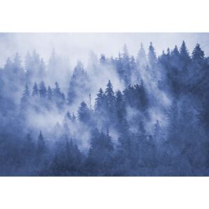 Fototapeta GLIX - Forest in the Mist Textured in Blue + lepidlo ZDARMA Samolepící textilní tapeta - 254x184 cm