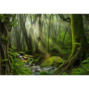 Fototapeta GLIX - Deep in the Forest + lepidlo ZDARMA Papírová tapeta - 254x184 cm