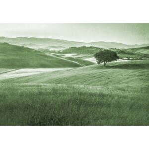 Fototapeta GLIX - Rolling Hills Faded Vintage in Green + lepidlo ZDARMA Papírová tapeta - 254x184 cm