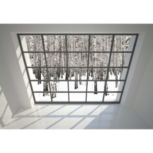 Fototapeta GLIX - Penthouse Window Birch Forest View + lepidlo ZDARMA Papírová tapeta - 254x184 cm