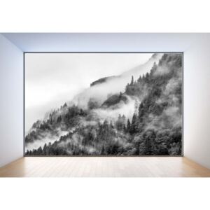 Fototapeta GLIX - Penthouse View Mist Forests II + lepidlo ZDARMA Papírová tapeta - 254x184 cm