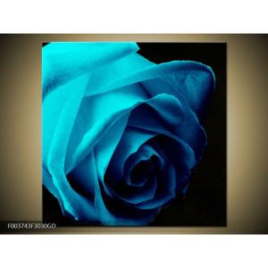 Obraz modré růže (F003743F3030GD)