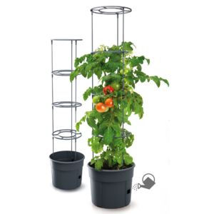 Květináč pro pěstování rajčat a jiných pnoucích rostlin, Grower antracit 29,5 cm