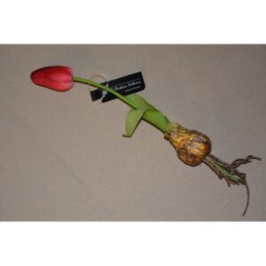 CERINO Umělá květina Tulipán s cibulkou 27cm červený 1ks