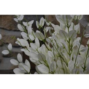 CERINO Umělá květina "penízek" bílá 110cm 1ks větvička