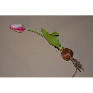 CERINO Umělá květina Tulipán s cibulkou 27cm růžová 1ks